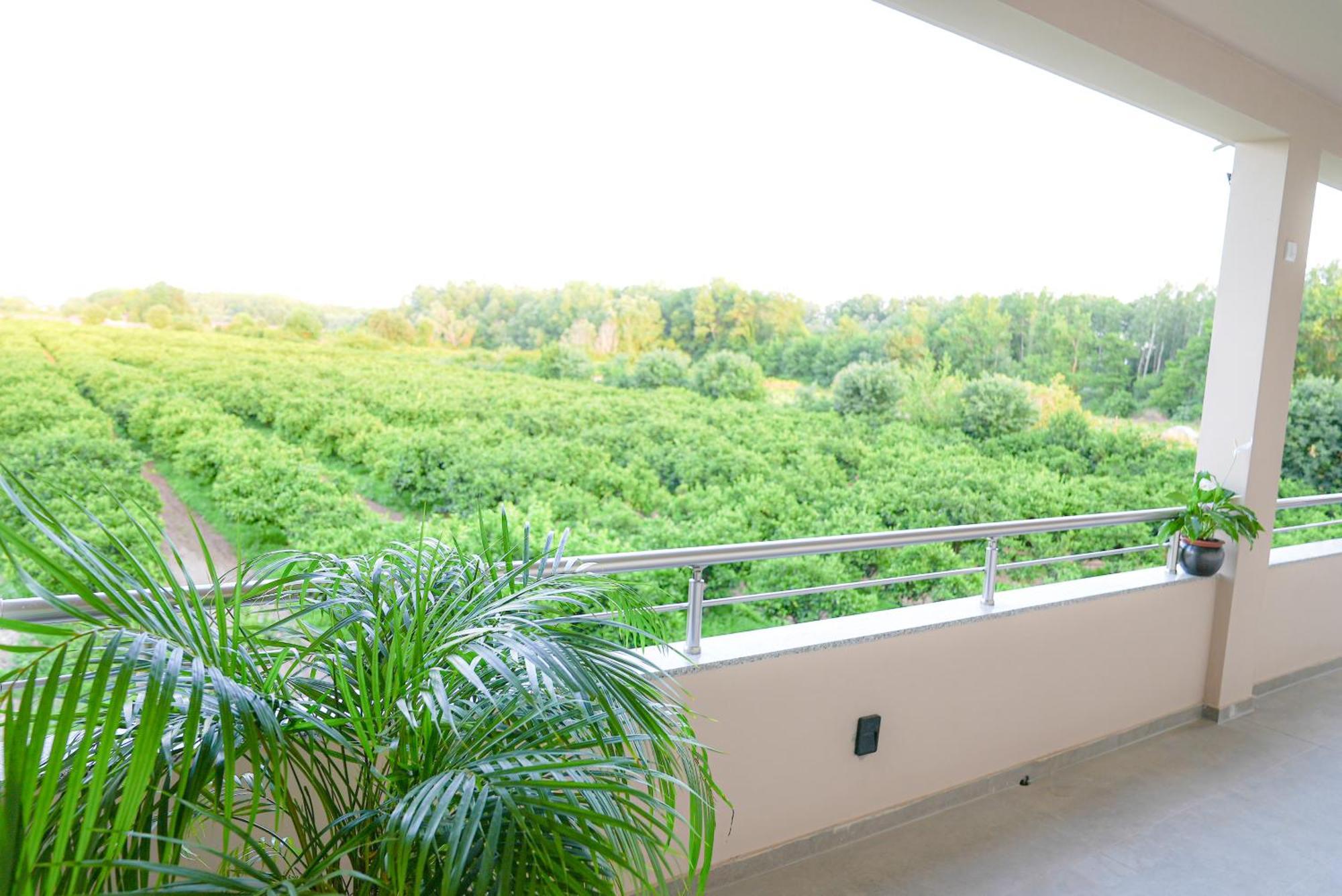Mar Nero Apartments Bregvija エクステリア 写真